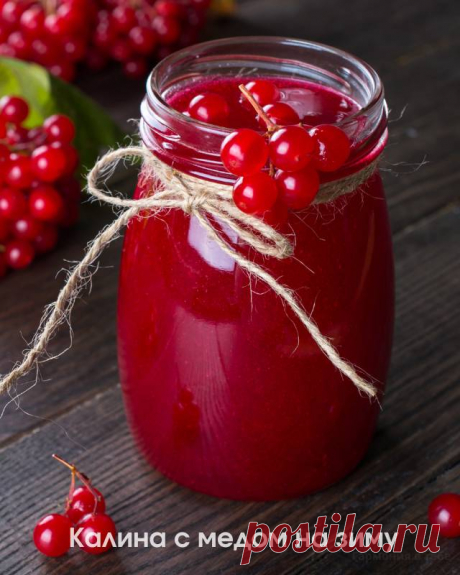 Калина с медом на зиму