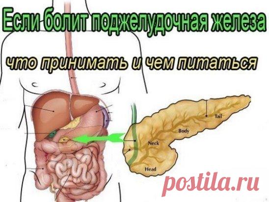 ✔ ПОЛЕЗНЫЕ СОВЕТЫ : 
Сохраните, чтобы не потерять.
СОВЕТ 1 : ЛЕЧЕНИЕ ПОДЖЕЛУДОЧНОЙ ЖЕЛЕЗЫ НАРОДНЫМИ МЕТОДАМИ 
То, чего не расскажет ни один врач!
Поджелудочная железа — один из важных внутренних органов 
человеческого тела, который отвечает за наше пищеварение. Сбой в работе поджелудочной чреват осложнениями и целым рядом заболеваний, таких как панкреатит или сахарный диабет. К счастью, есть прекрасные народные средства, которые помогают лечить этот орган не хуже лекарств. Если у тебя есть про