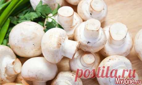Рецепты блюд с шампиньонами - грибы, шампиньоны, блюда из грибов, рецепты