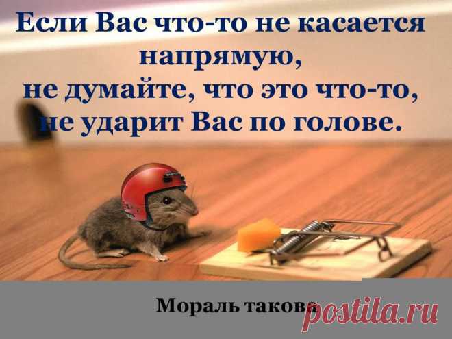 Мораль такова:
#жизнь #счастье #любовь #притча
Однажды мышь заметила, что хозяин фермы поставил мышеловку. 

Она рассказала об этом курице, овце и корове. 

Но все они отвечали: «Мышеловка – это твои проблемы, к нам она никакого отношения не имеет!»

Чуть позже в мышеловку попалась змея – и укусила жену фермера. Пытаясь её излечить, жене приготовили суп из курицы. 

Потом зарезали овцу, чтобы накормить всех, кто приехал навестить больную. 

И, наконец, закололи корову, чтобы....
