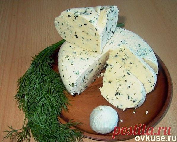 Домашний сыр - Простые рецепты Овкусе.ру