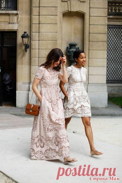 Сухоцвет от валентино