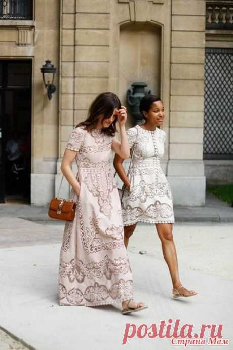 Сухоцвет от валентино