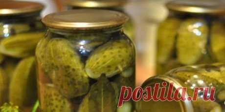 Маринованные огурцы «по-детски» Хрустящие огурцы, которые получаются всегда! Записывайте рецепт маринада