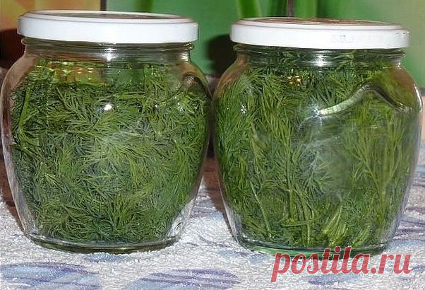 Лучшие кулинарные рецепты: Заготовки на зиму