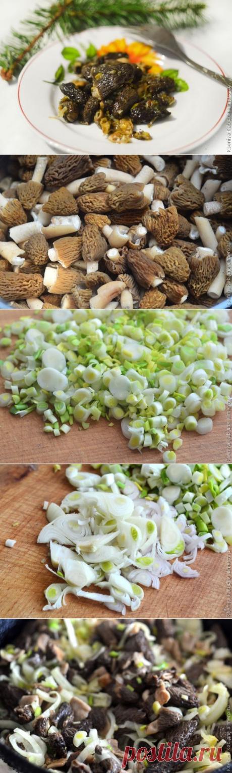 Жареные сморчки | Банк кулинарных рецептов