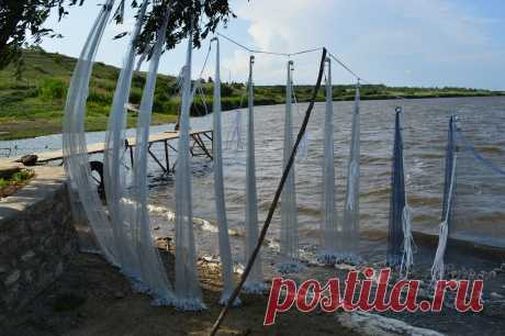 Кастинговые сети американского типа azovseti.ru