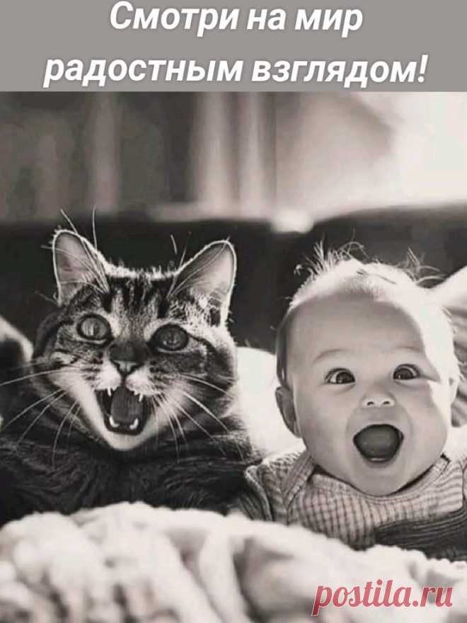 47879c8b.jpg (736×981)