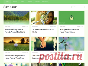 Русские шаблоны Wordpress | 4000 бесплатных тем