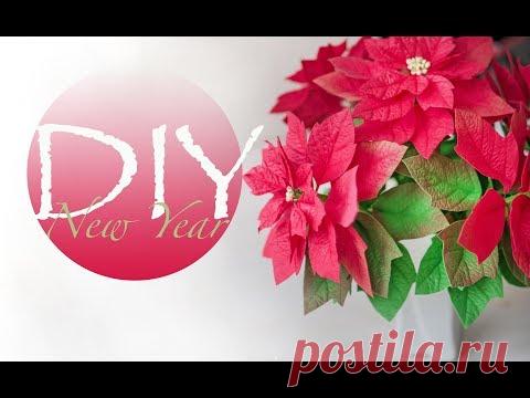 Пуансеттия своими руками DIY Tsvoric Poinsettiya own hands