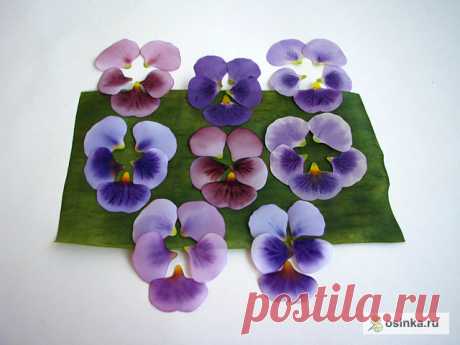 Мастер-класс. Анютины глазки.