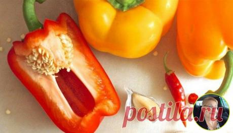 После чистки болгарского перца никогда не выкидываю его семечки,рассказываю о их пользе и где я их применяю | ДИЕТОлог на ПЕНСИИ | Яндекс Дзен