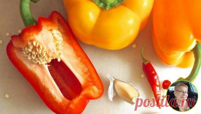 После чистки болгарского перца никогда не выкидываю его семечки,рассказываю о их пользе и где я их применяю | ДИЕТОлог на ПЕНСИИ | Яндекс Дзен