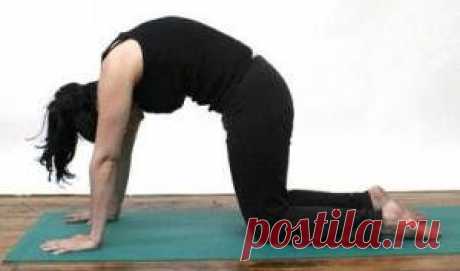 Йога для начинающих за 30 дней: Ежедневная растяжка | Упражнения йоги.