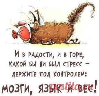 (292) Pinterest