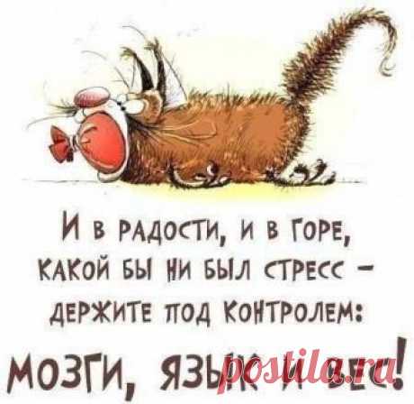 (292) Pinterest