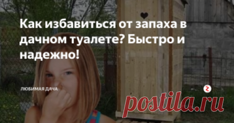 Как избавиться от запаха в дачном туалете? Быстро и надежно! Неприятный запах в дачном туалете волнует многих дачников. Как бы далеко он не стоял от дома зловоние по участку всё равно распространяется, а внутри находится просто невыносимо. Кажется, что этот аромат пропитывает всю одежду и вонять уже будет человек по выходу из кабинки.
Как быстро и легко избавиться от неприятного запаха в дачном туалете? Рассмотрим рабочие и эффективные химические и народные