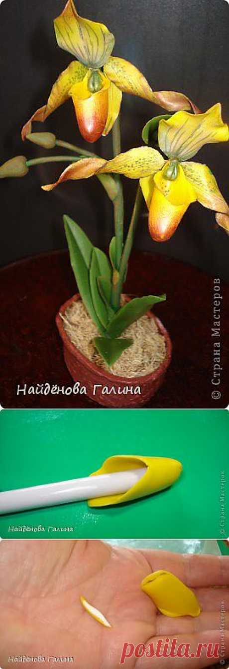 (+1) тема - Венерин башмачок-франт невероятный!(из холодного фарфора+МК) | РУКОДЕЛИЕ