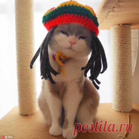 Google+ Боб Марли