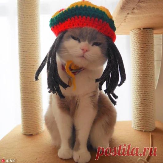 Google+ Боб Марли