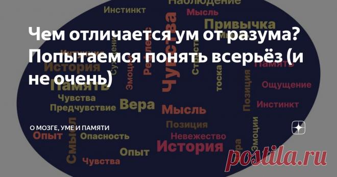 Чем отличается ум от разума? Попытаемся понять всерьёз (и не очень) Статья автора «О мозге, уме и памяти» в Дзене ✍:  В начале пути по развитию канала, желательно было бы начать с базовых понятий. Но не буду притворяться специалистом в этой области.
