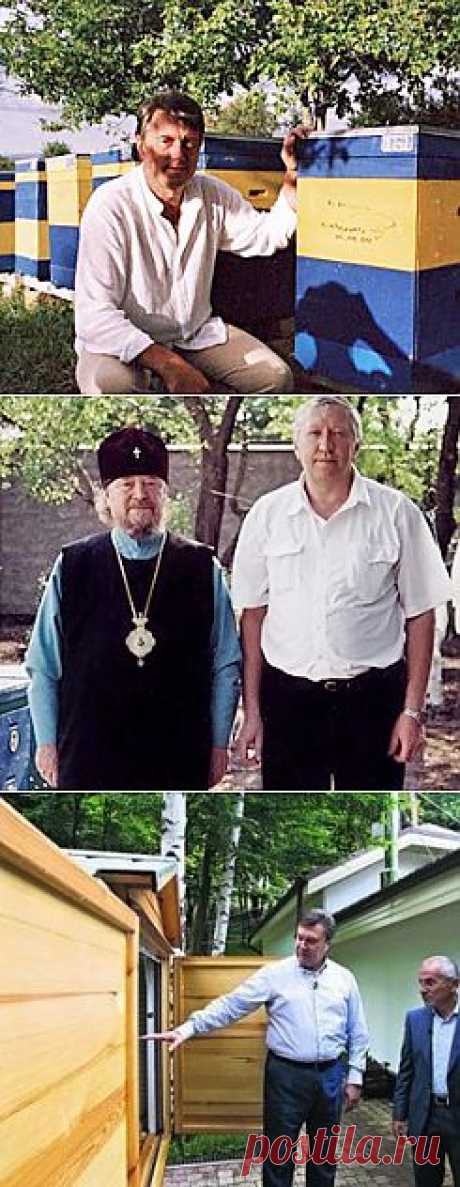 Пасека Савина