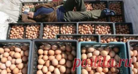 Максимальное распространение! Поддельные яйца из Китая! Как распознать подделку? 

Китайцы &ndash; великие мастера имитации. Они научились отменно копировать одежду и аксессуары, гаджеты и картины, архитектурные сооружения и целые города. Но если благодаря тяге к подделкам на рынке появляются искусственные яйца, стоит задуматься о собственной безопасности...

