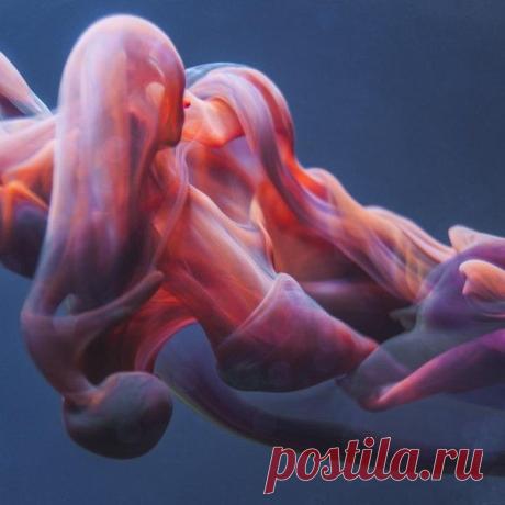 Завораживающие фотографии растворяющейся акварельной краски в воде Фотограф Alex Nero
