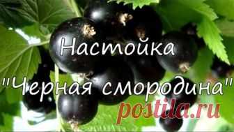 Настойка 