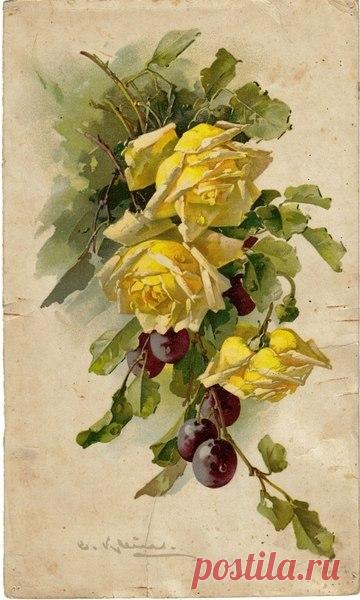 Ирина Сергеева