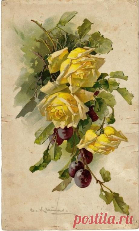 Ирина Сергеева