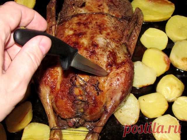 Утка с яблоками в духовке - Вкусные идеи Утка с яблоками в духовке — один из главных атрибутов праздничного стола советского времени. Рецептов этого торжественного и эффектного блюда великое