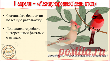 Лучшие дистанционные олимпиады