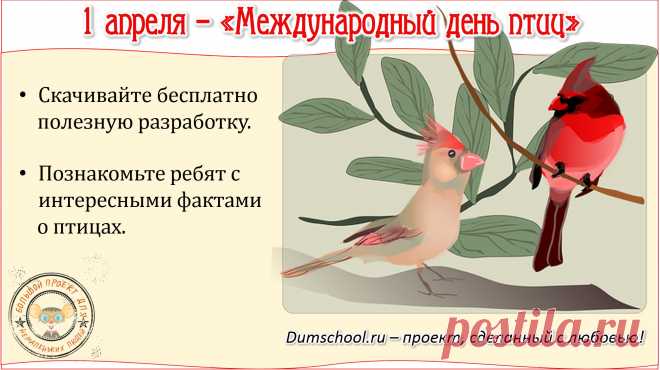 Лучшие дистанционные олимпиады