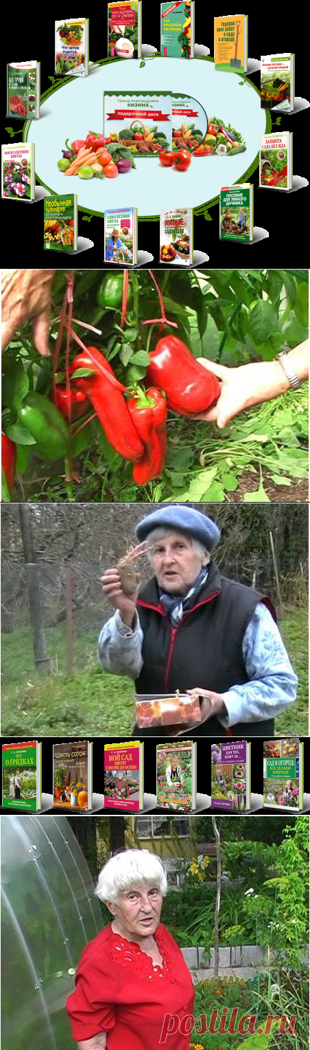 Огород без хлопот