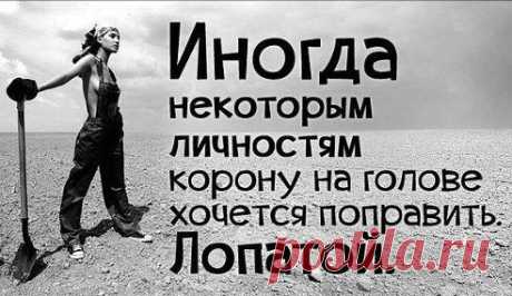 ;;;;;;))))))))))))))))))))))))
УБОЙНЫЕ ПРИКОЛЫ [анекдоты смешные фото и видео]