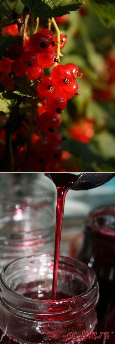 Желе из красной смородины с лавандой | Пальчики оближешь | Группы Мой Мир