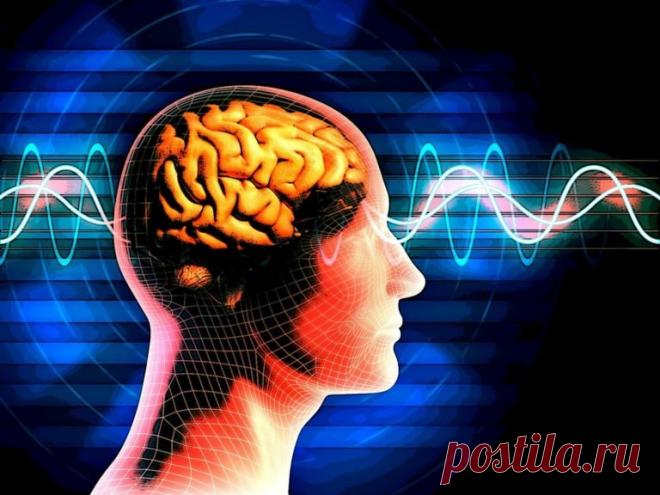 Работа с “внутренней полицией” в вашей голове