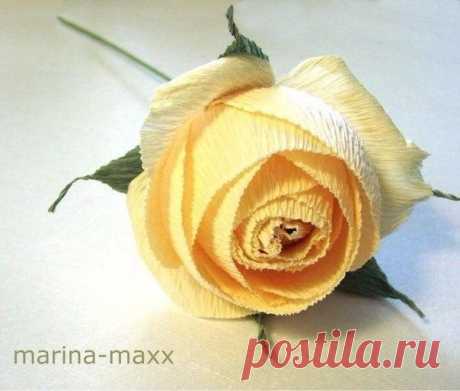 Роза из гофрированой бумаги