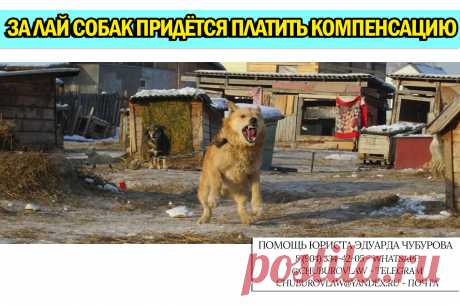 &quot;Мы в ответе за тех, кого приручили&quot;: за громкий лай собак придётся платить денежные компенсации Очень интересная судебная практика появилась. Да ещё и от первого кассационного суда общей юрисдикции (третья из четырёх ступеней обжалования)!...