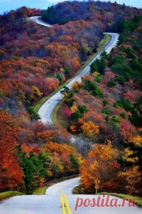 Pinterest (Pin) (157)