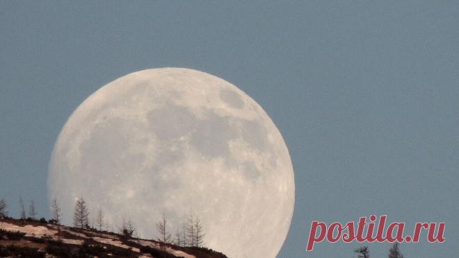 В некоторых районах России температура воздуха упала ниже 45 градусов. В ряде районов Якутии установился мороз со значением минус 45 градусов и ниже. Об этом сообщает РИА Новости со ссылкой на данные республиканского управления по гидрометеорологии и мониторингу окружающей среды. В четверг на большей части ...