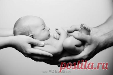 R.I. Axelrod приколол(а) это к доске Photography/Fotografía | Pintere…