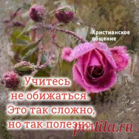 Одноклассники