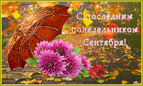 (17) Мой Мир@Mail.Ru