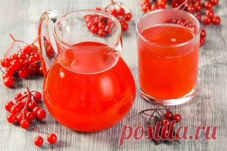 Как приготовить сок из калины на зиму