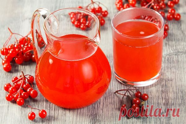 Как приготовить сок из калины на зиму