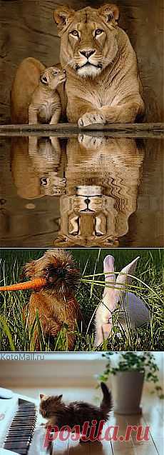 Счастливые минуты...