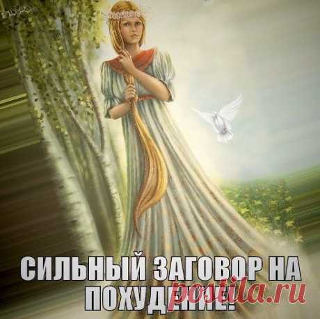 (49) Одноклассники