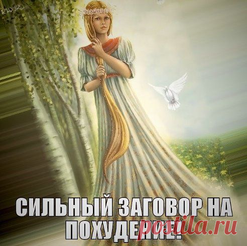 (49) Одноклассники